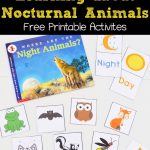 Learning About Nocturnal Animals Free Printable Activities | Animals   Free Printable Animal Classification Cards