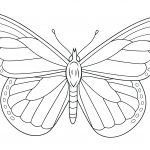 Monarch Butterfly Coloring Page | Free Printable Coloring Pages   Free Printable Butterfly Pictures
