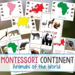 Montessori Animals And Continents Printables And Activities   Free Printable Animal Classification Cards