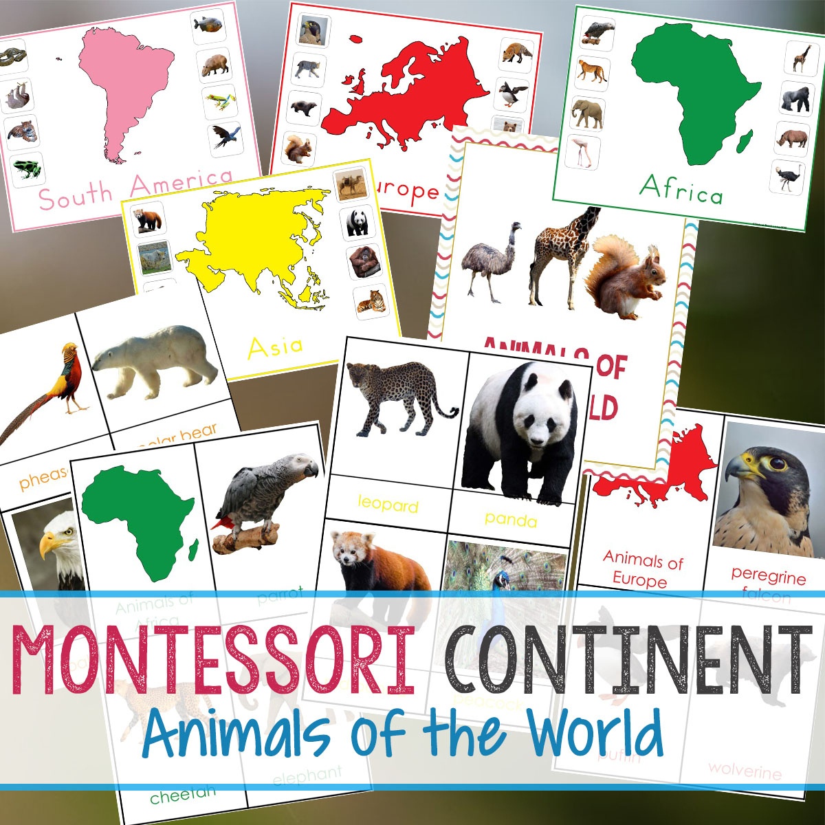 Montessori Animals And Continents Printables And Activities - Free Printable Animal Classification Cards