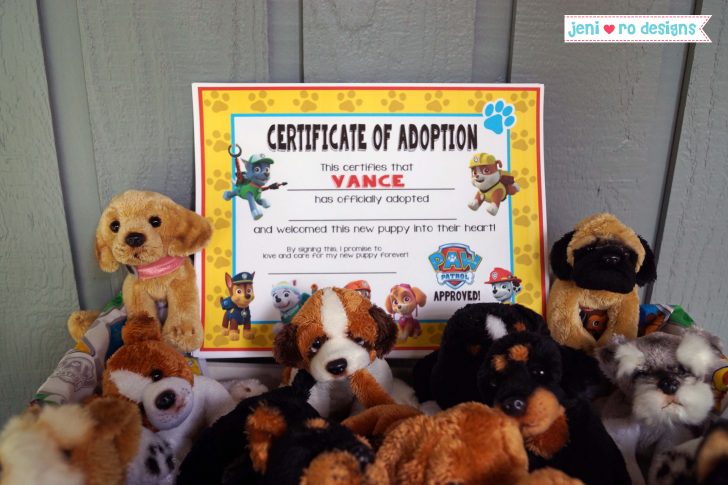 Free Printable Stuffed Animal Adoption Certificate