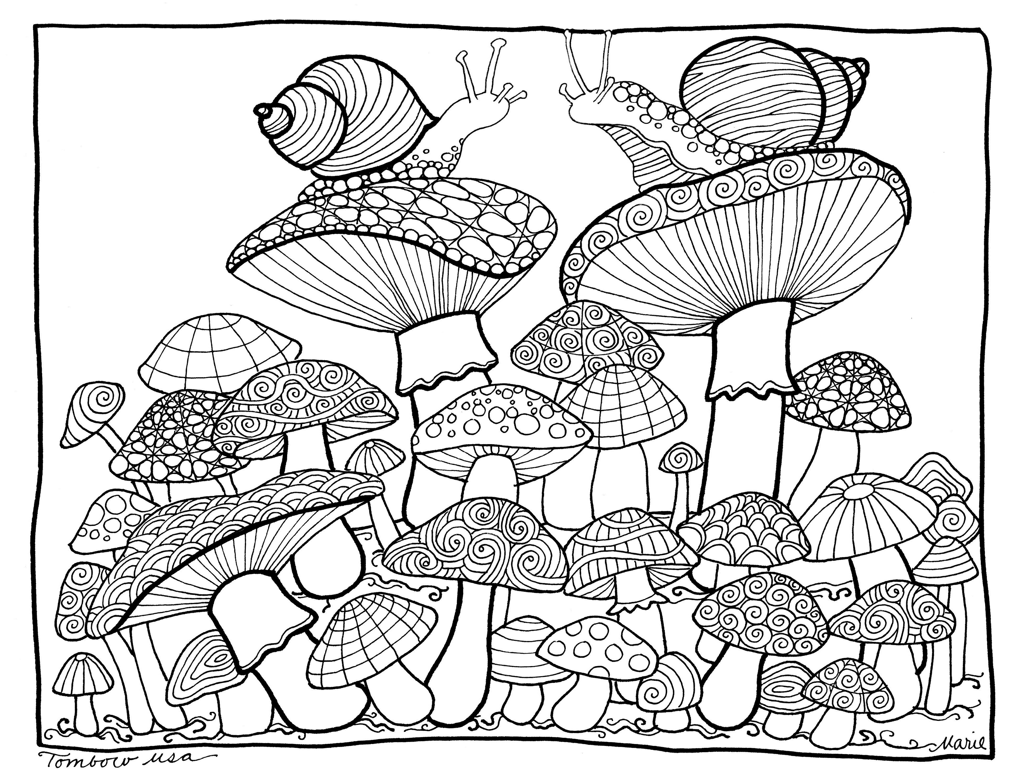 Mushrooms Coloring Pagetombow Usa | Paper | Color, Coloring - Free Printable Mushroom Coloring Pages