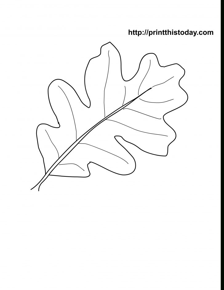 Free Printable Oak Leaf Patterns