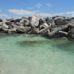 Panama City Beach On A Dime: Free Admission To St. Andrew's State Park   Free Printable Coupons For Panama City Beach Florida