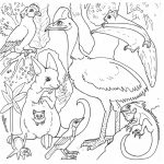 Pinbirgit Keys On Clip Art Birds | Coloring Pages For Kids   Free Printable Australian Animals