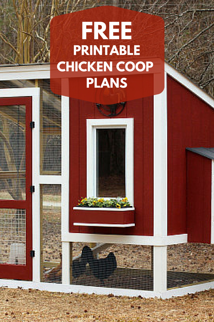 Pinhgtv On Outdoor Living Ideas | Backyard Chicken Coops - Free Printable Chicken Coop Plans