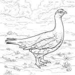 Pinsarah Marshall On Birds /adult Coloring Pages | Bird Coloring   Free Printable Pictures Of Alaska