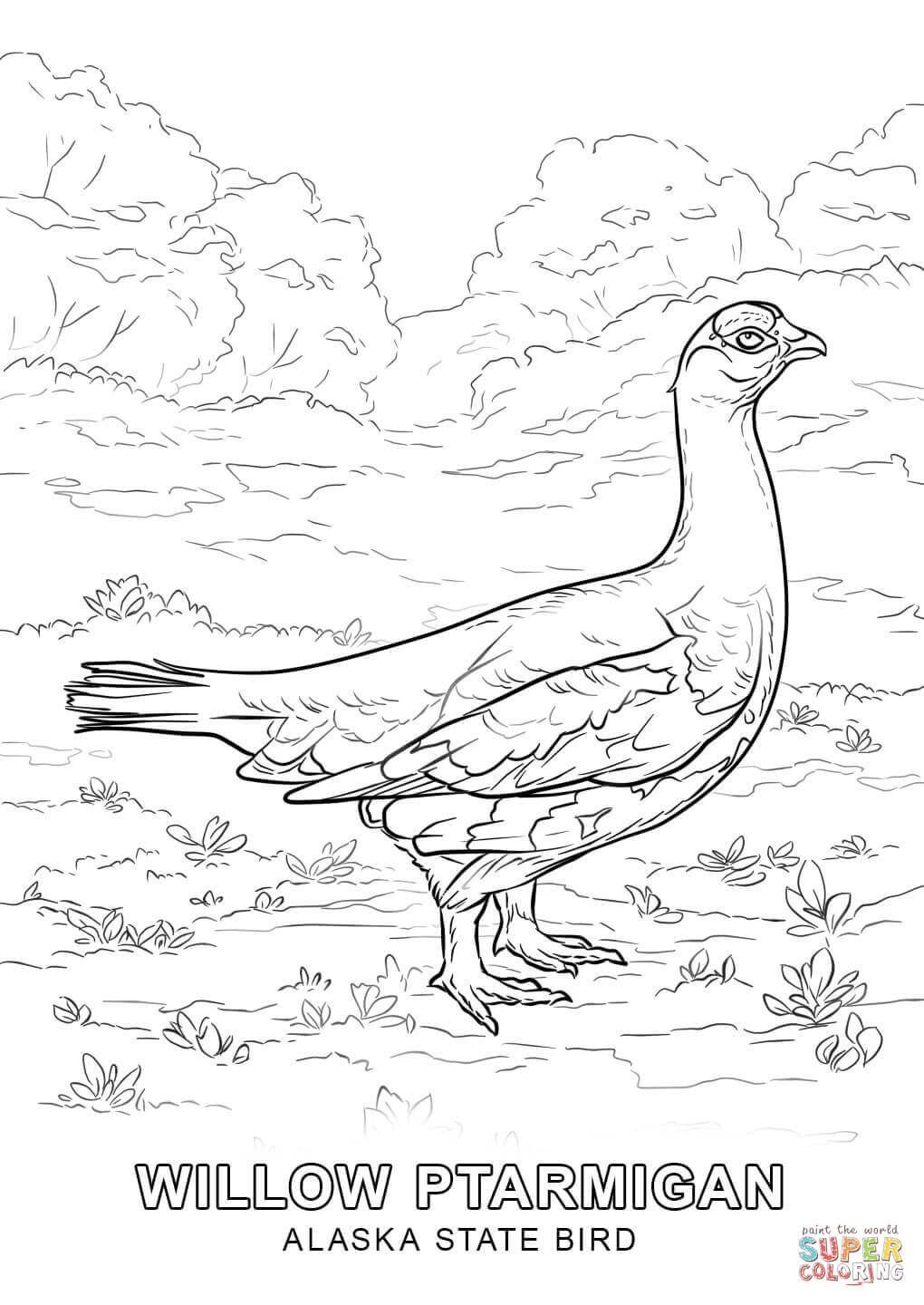 Pinsarah Marshall On Birds /adult Coloring Pages | Bird Coloring - Free Printable Pictures Of Alaska