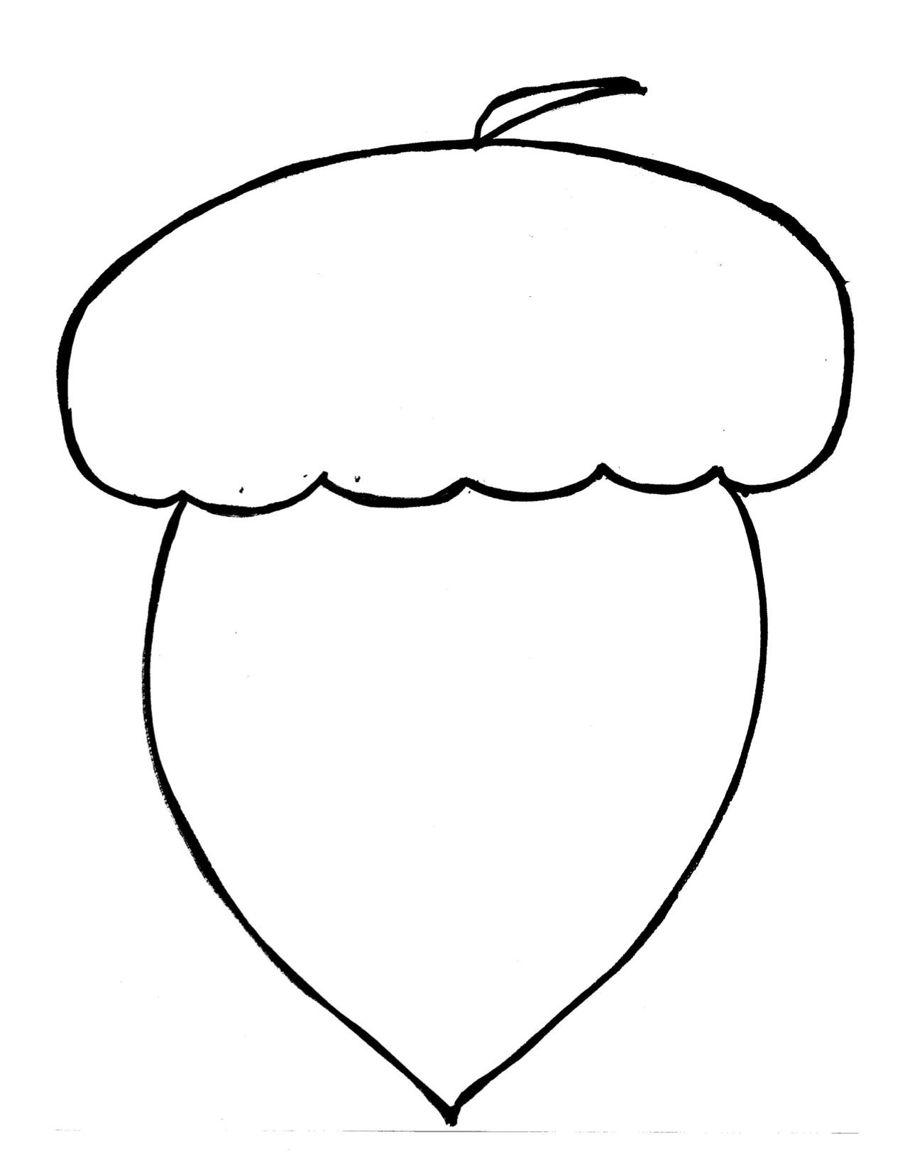 acorn template preschool