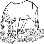 Printable Cow Coloring Pages | Coloringme – Coloring Pages Of Cows Free Printable