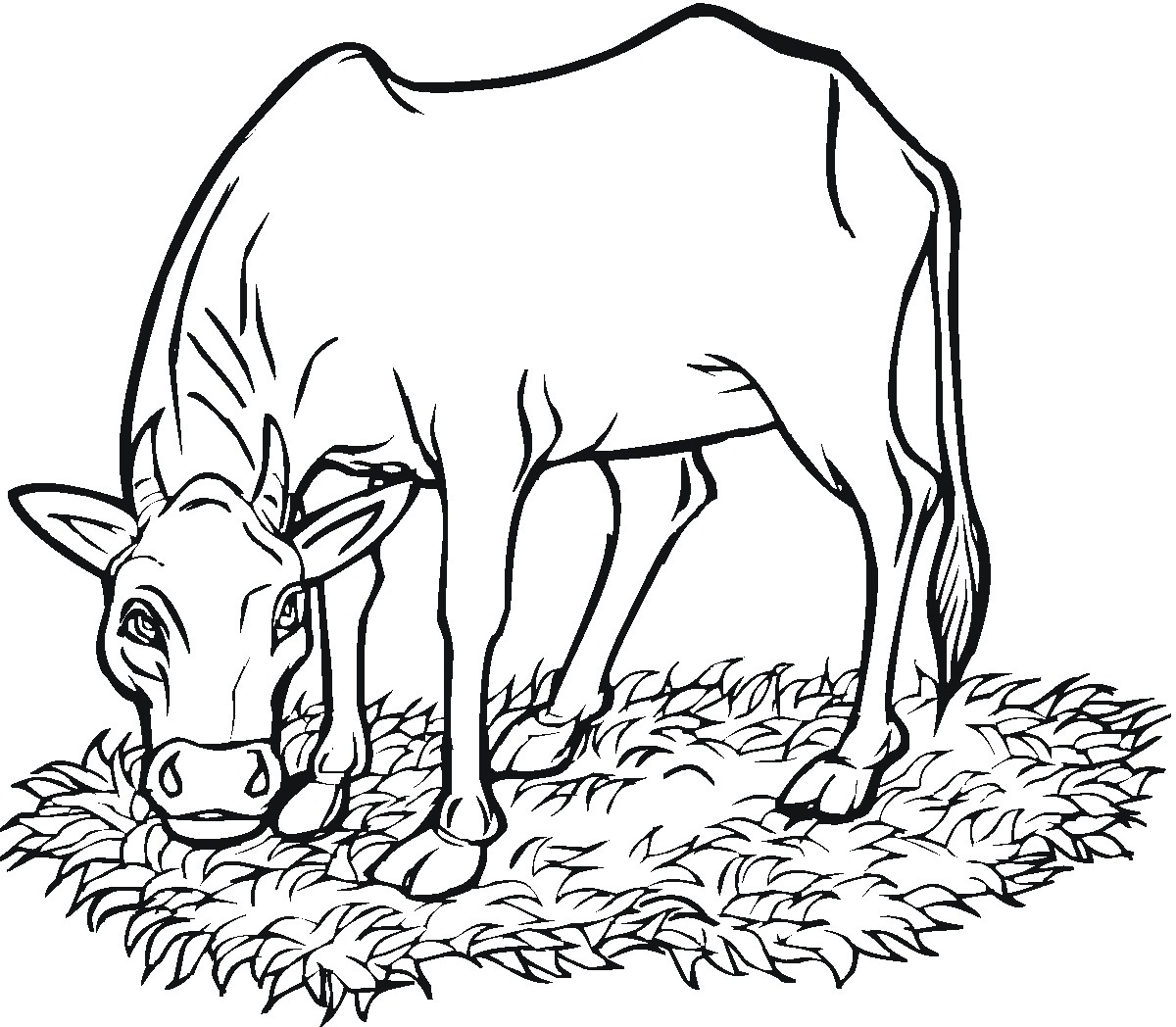 Printable Cow Coloring Pages | Coloringme - Coloring Pages Of Cows Free Printable