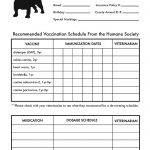 Printable Dog Shot Record Forms | Cute Pets | Dog Shots, Dogs, Dog   Free Printable Pet Health Record