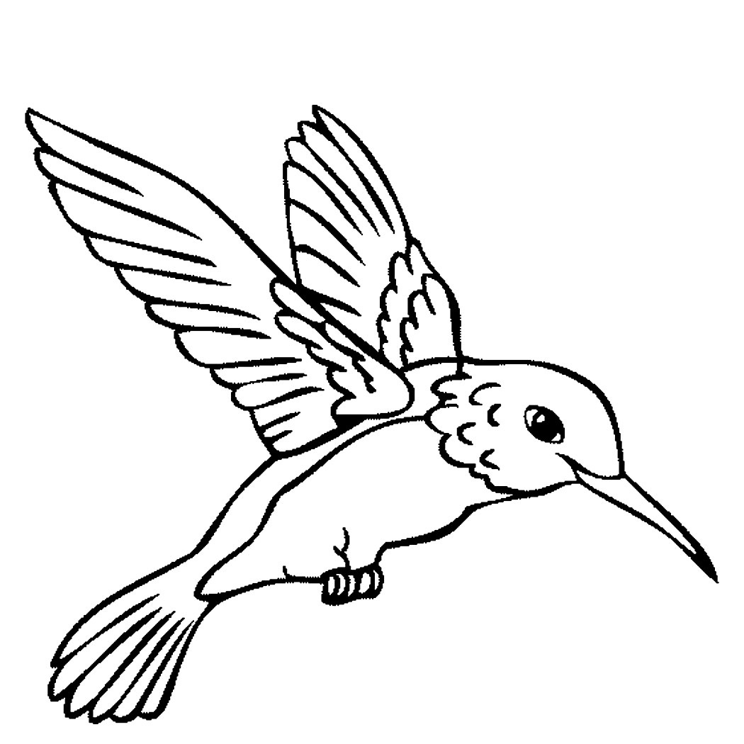Printable Hummingbird Coloring Pages | Coloringme - Free Printable Pictures Of Hummingbirds