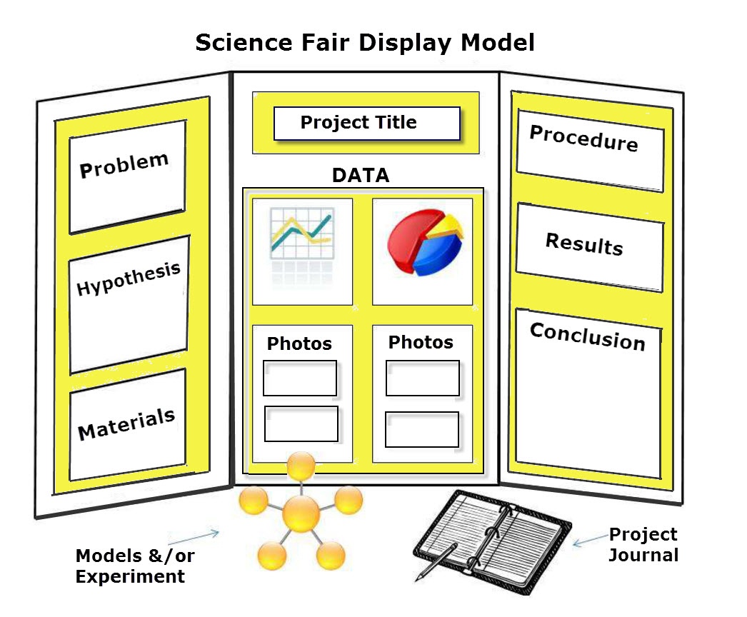 Free Printable Science Fair Project Board Labels Free Printable - Vrogue