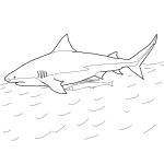 Sharks Coloring Pages Free Coloring Pages | Shark Coloring Pages   Free Printable Shark Coloring Pages