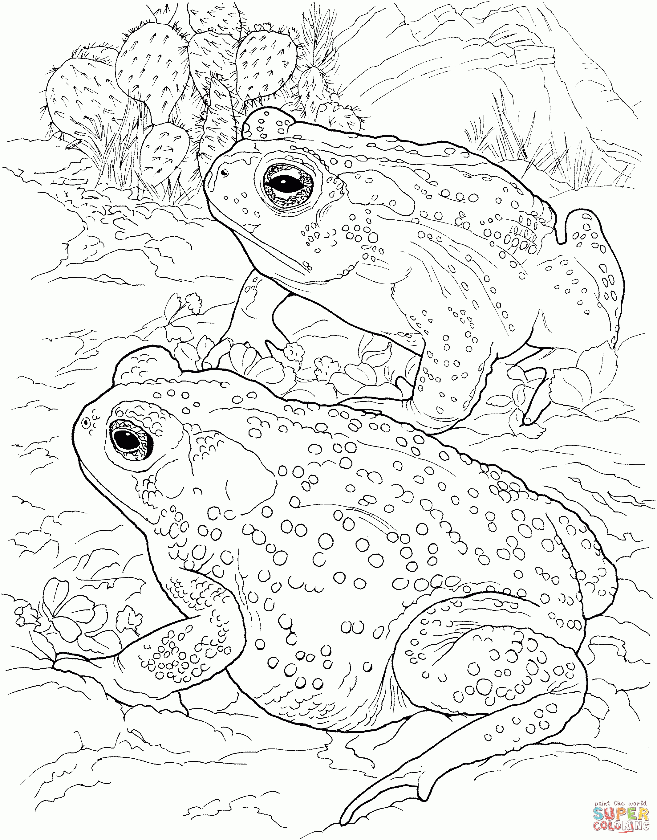 Sonoran Desert Toad Coloring Page | Free Printable Coloring Pages - Free Printable Desert Animals
