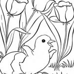 Spring Coloring Pages, Printable Spring Coloring Pages, Free Spring   Free Printable Spring Pictures To Color