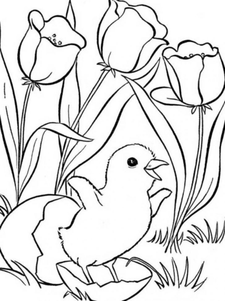 Free Printable Spring Pictures To Color