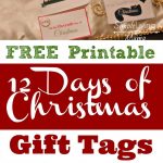 The 12 Days Of Christmas Ideas + Printable Gift Tags   Simple Living   Free Printable 12 Days Of Christmas Gift Tags