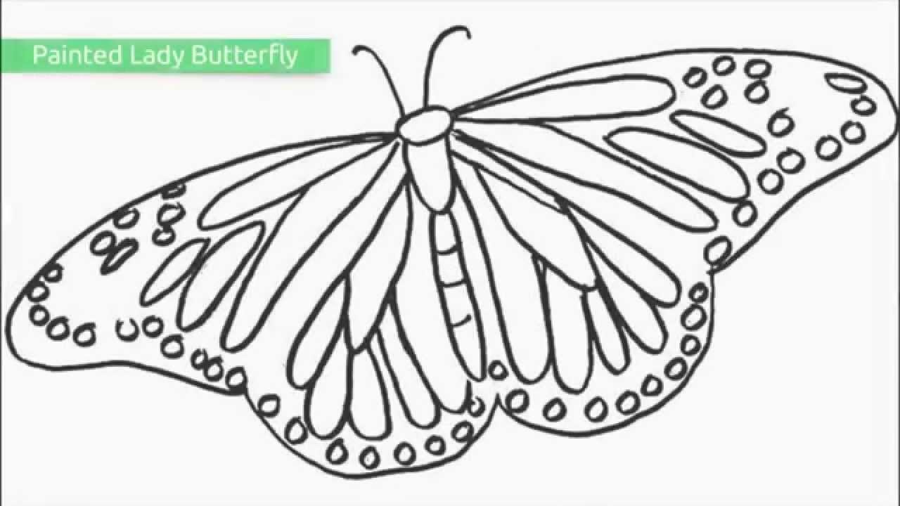 Top 25 Free Printable Butterfly Coloring Pages - Youtube - Free Printable Butterfly Coloring Pages