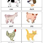 Variety Of Animal Flashcards | Theme~Zoo | Flashcards For Kids, Free   Free Printable Ged Flashcards