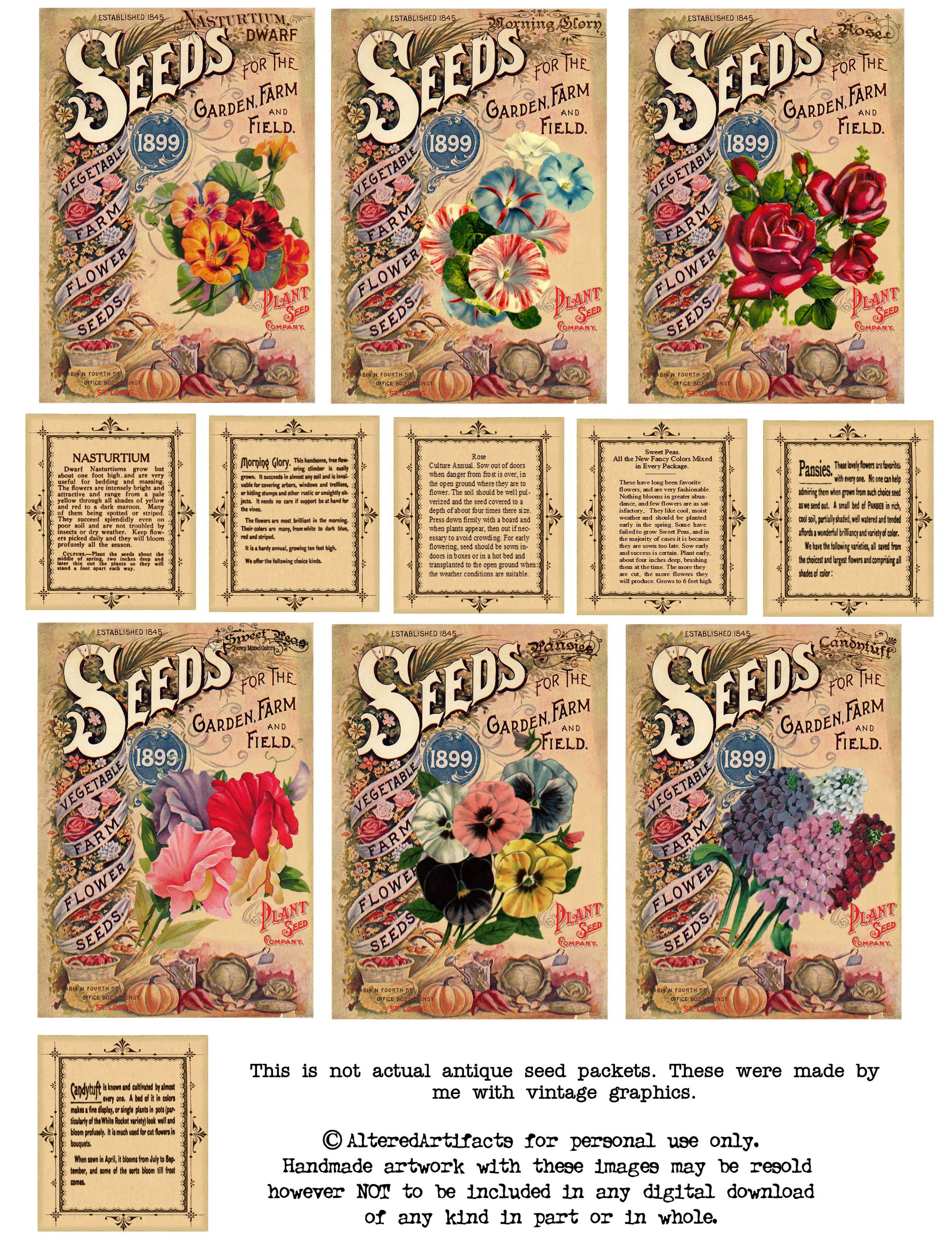 Vintage Seeds Art Free Print | Free Antique Flower Seed Packets - Free Printable Vintage Pictures
