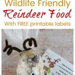 Wildlife Friendly Reindeer Food | Recipe | Holidays | Reindeer Food   Free Printable Winterization Stickers