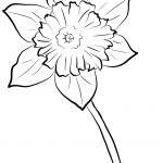 Yellow Daffodil Coloring Page | Free Printable Coloring Pages   Free Printable Pictures Of Daffodils